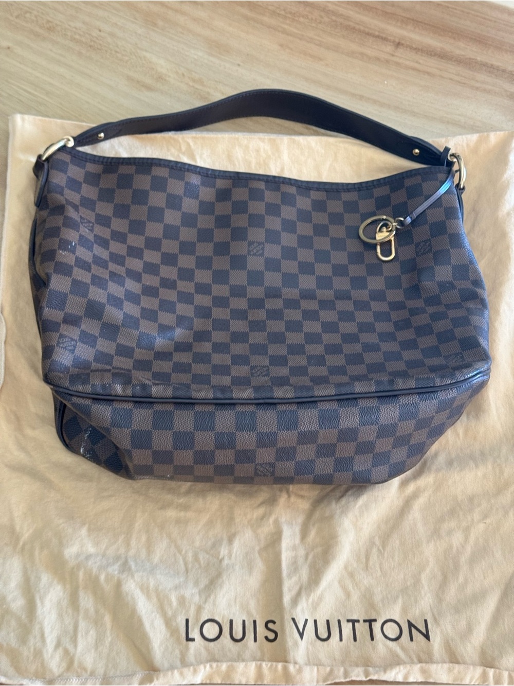 Louis Vuitton Damier Ebene Check Hobo with Gold-Tone Accent